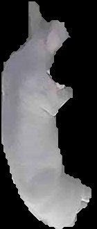 Crop