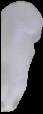 Crop