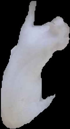 Crop