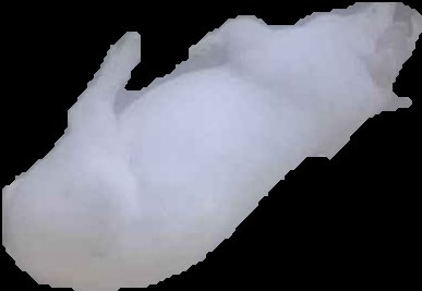 Crop
