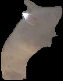 Crop