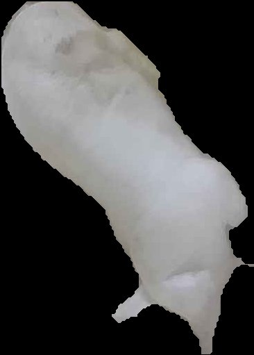 Crop
