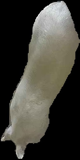 Crop