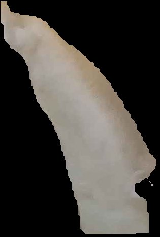 Crop
