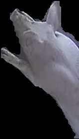 Crop