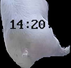 Crop