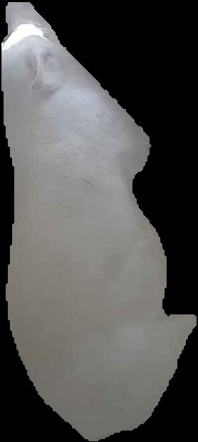 Crop