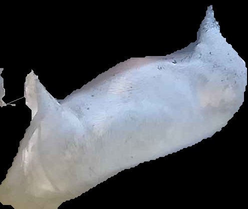 Crop