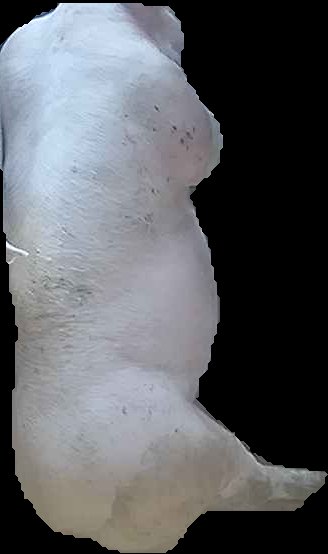 Crop