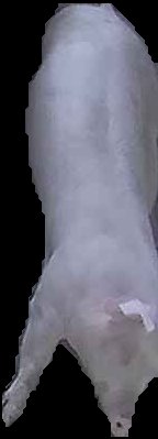 Crop