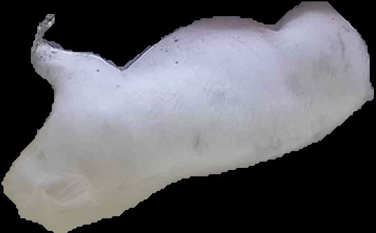 Crop