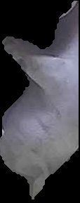 Crop
