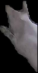 Crop