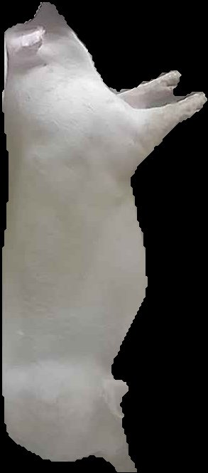 Crop