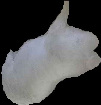 Crop