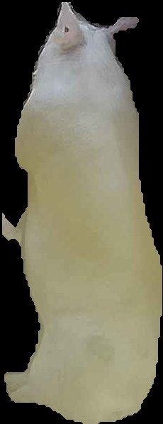 Crop