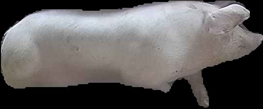 Crop
