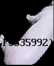 Crop