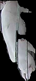 Crop