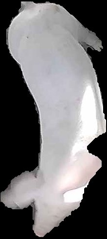 Crop