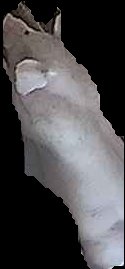 Crop