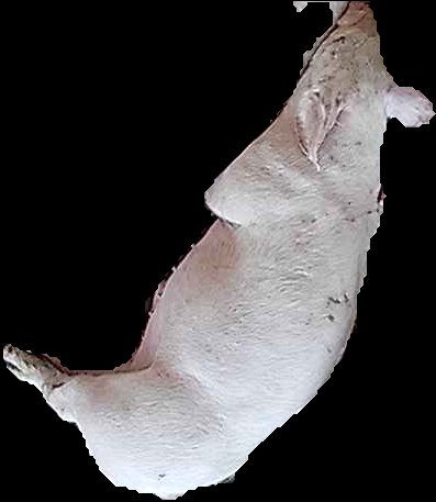 Crop