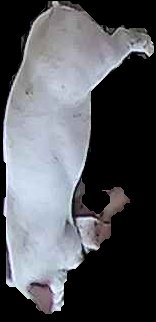 Crop