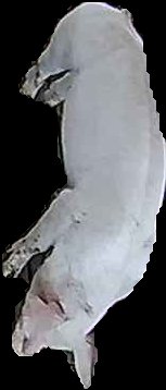 Crop