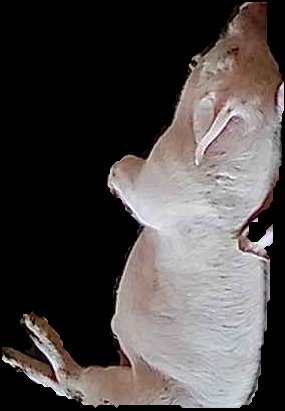 Crop
