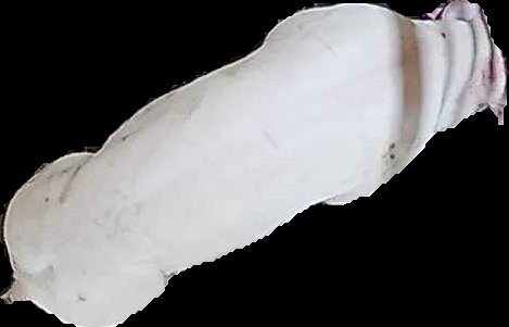 Crop