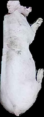 Crop