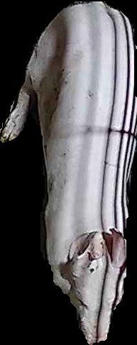 Crop