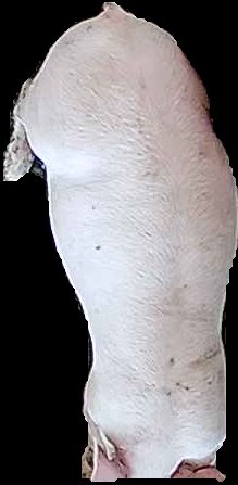 Crop