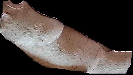 Crop