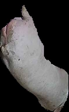 Crop