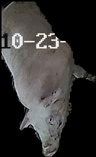 Crop