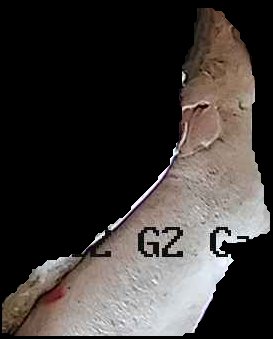 Crop