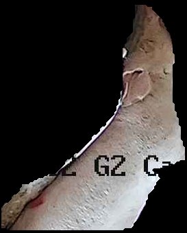 Crop