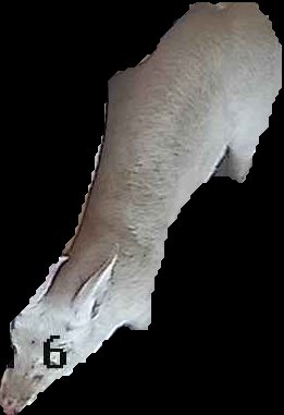 Crop