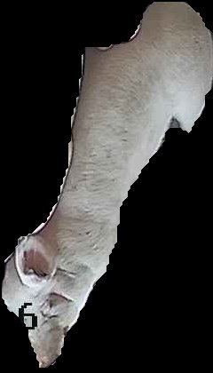 Crop