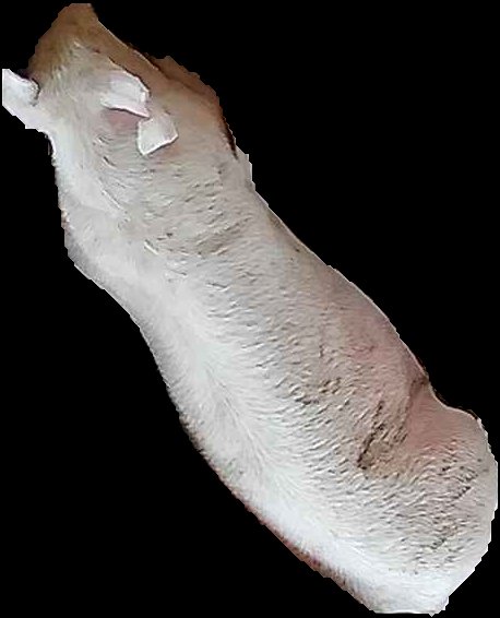 Crop
