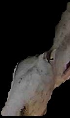 Crop