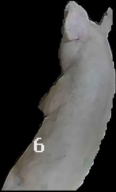 Crop