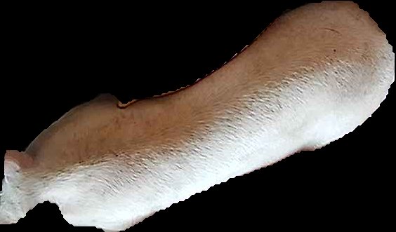 Crop