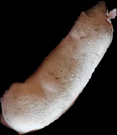 Crop