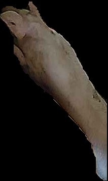 Crop