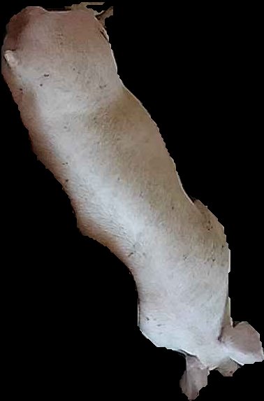 Crop