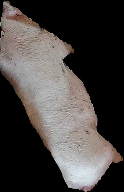 Crop