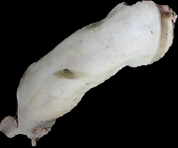 Crop