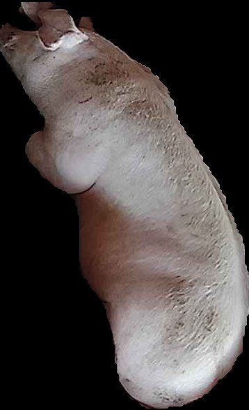 Crop